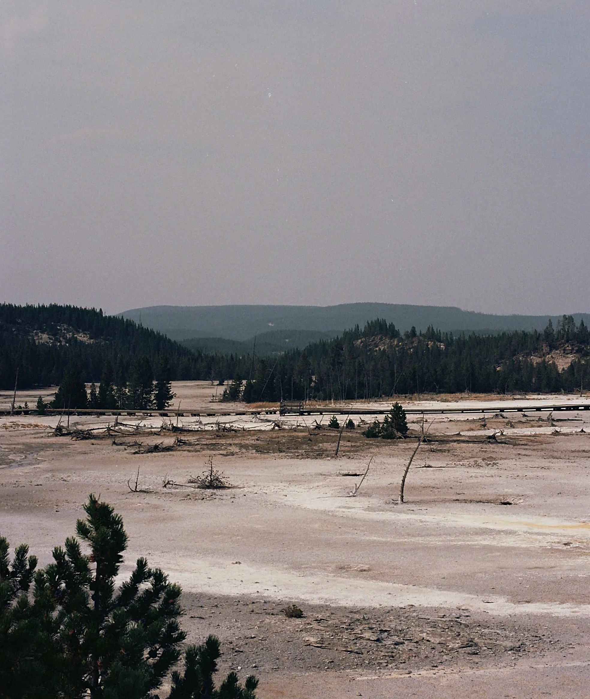 2021 Yellowstone